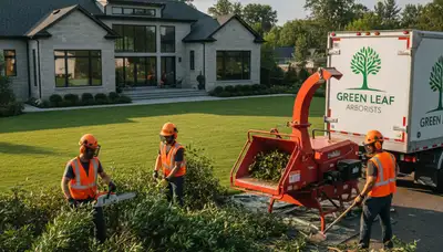 Professional shrub removal service clearing overgrown bushes in Atlanta, GA