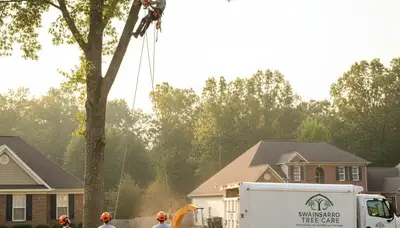 Professional tree removal service in Atlanta GA by certified arborists clearing residential property