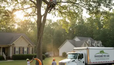Professional tree removal service in Atlanta GA removing large oak safely